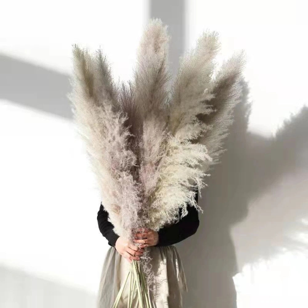 FeatherFawn - Suszone kwiaty pampasów