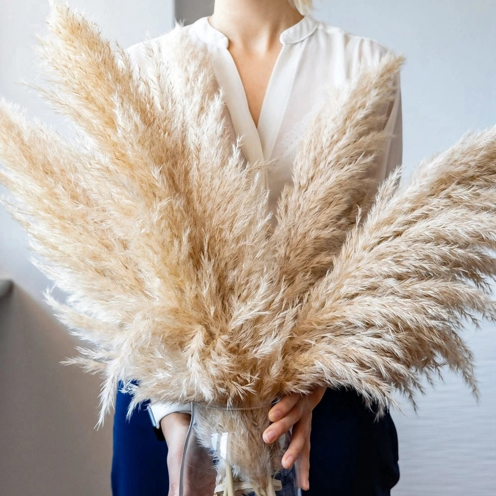 FeatherFawn - Suszone kwiaty pampasów