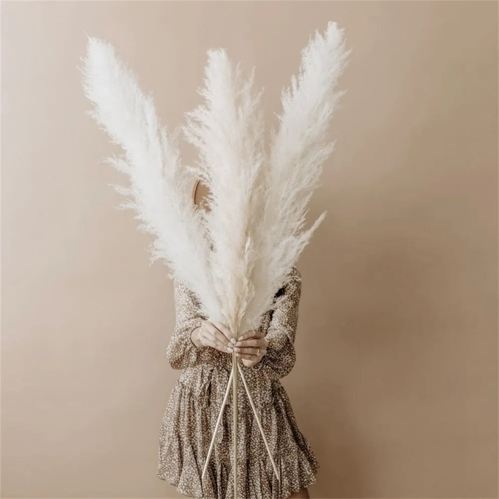 FeatherFawn - Suszone kwiaty pampasów