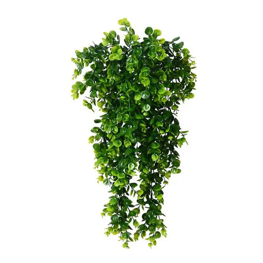Leafy Luxe - Piękny wystrój roślinny