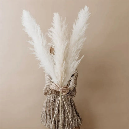 FeatherFawn - Suszone kwiaty pampasów