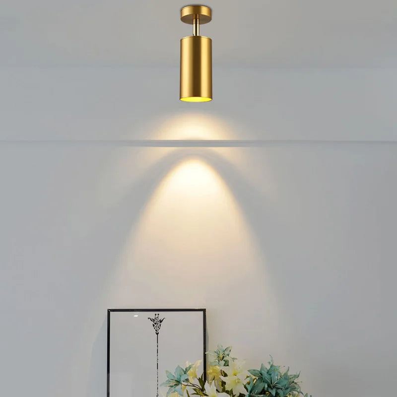 Sunmeiyi Luminous - lampa sufitowa Sunmeiyi